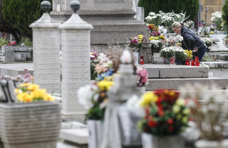 Non ci manca niente - Il fiore della misericordia